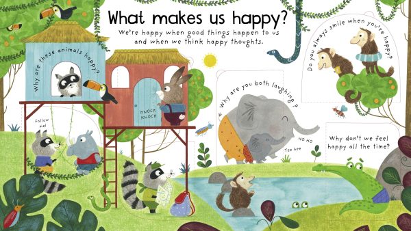 Lift-the-flap First Questions and Answers - What are Feelings?