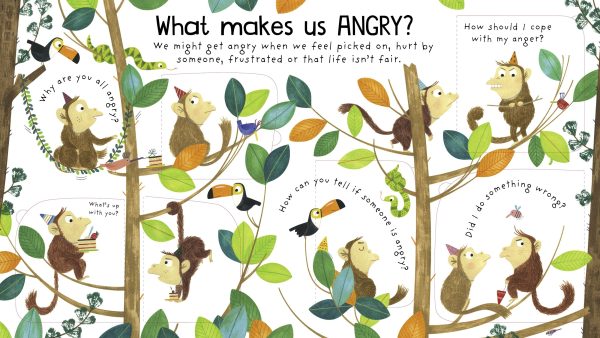 Lift-the-flap First Questions and Answers - What are Feelings?