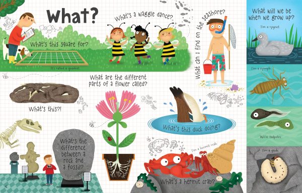 Lift-the-flap Questions and Answers about Nature