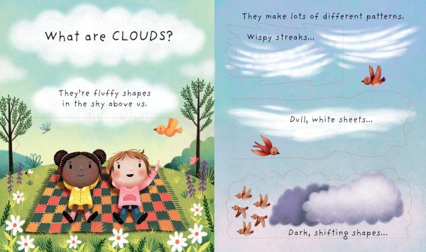 Lift-the-flap Very First Questions and Answers - What are clouds?