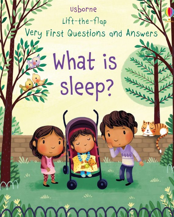 Lift-the-flap Very First Questions and Answers - What is sleep?
