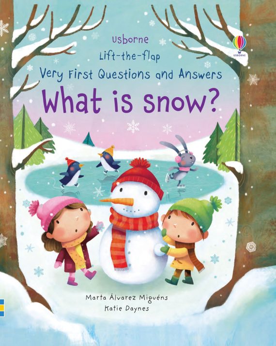 Lift-the-flap Very First Questions and Answers - What is snow?