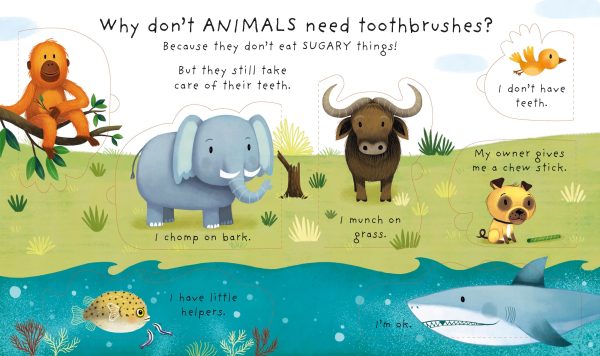 Lift-the-flap Very First Questions and Answers - Why Should I Brush My Teeth?