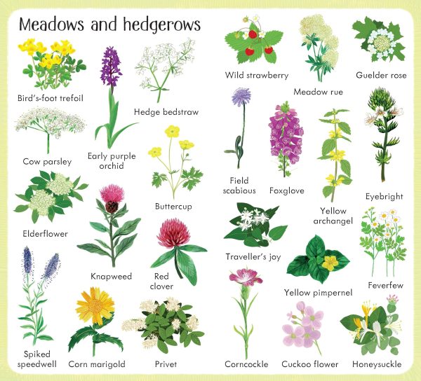 199 Flowers