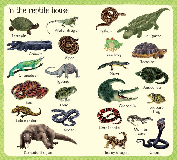 199 Zoo Animals