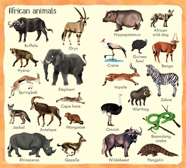 199 Zoo Animals