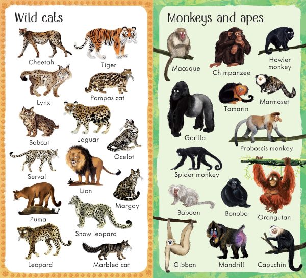 199 Zoo Animals