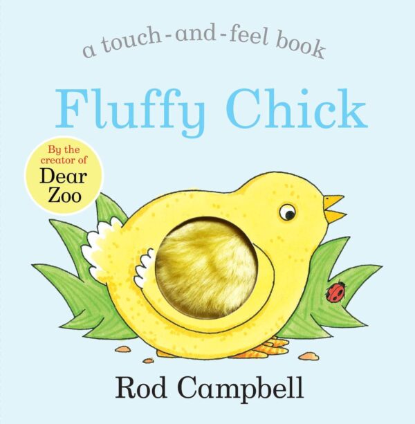 Fluffy Chick (a touch-and-feel book)