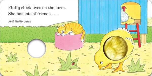 Fluffy Chick (a touch-and-feel book)