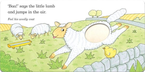 Fluffy Chick (a touch-and-feel book)