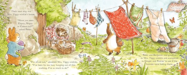 The Easter Bunny Hunt: With Lots of Flaps to Look Under (Peter Rabbit)