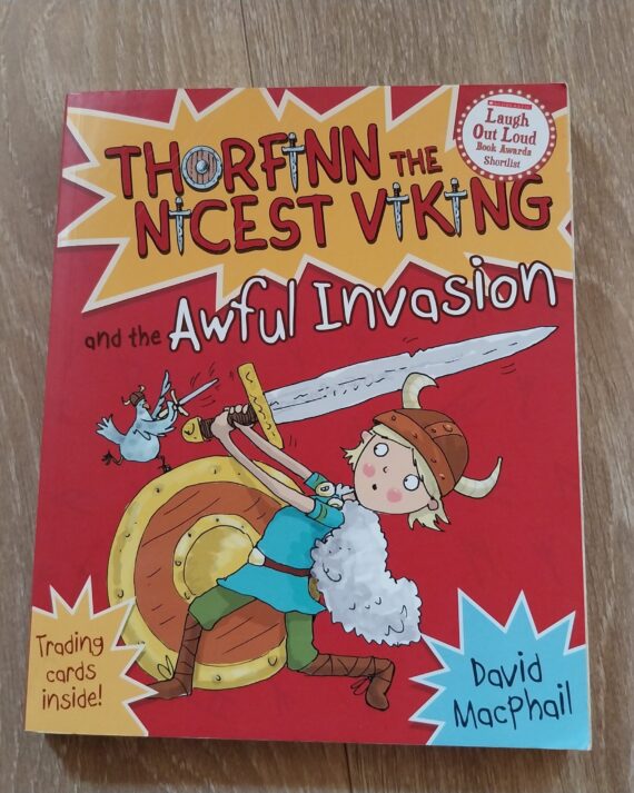 Thorfinn The Nicest Viking