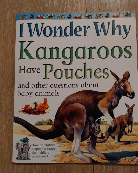 I Wonder Why Kangaroos have Puches?